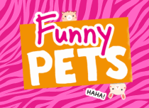 Funny Pets.png